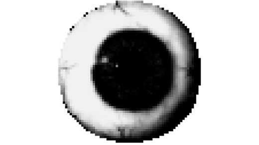 Prunsel | Know Your Meme