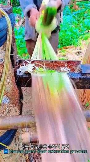 Manual plant fiber extraction process