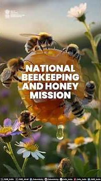 National Beekeeping & Honey Mission: Bringing Sweet Revolution in India