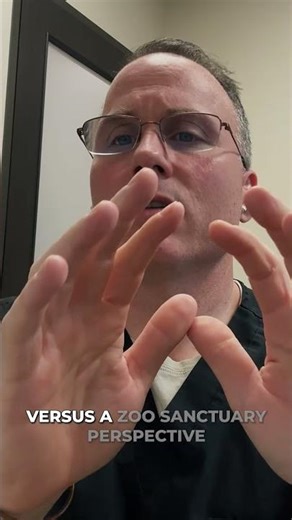 Dentistry in Wildlife: When Do We Step In? 🦷🦁