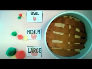 🧮 Sorting Objects 🍎 Apple Math | Kindergarten & PreK Math Lesson