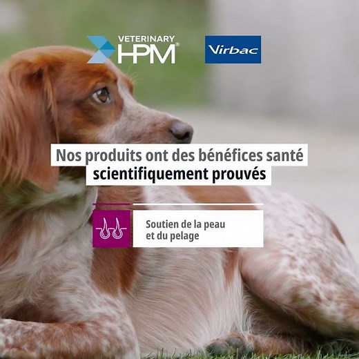 Une alimentation de qualité pour un chien en bonne santé !