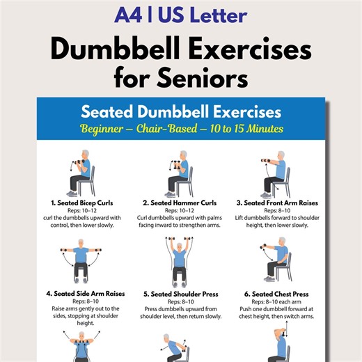 Seated Dumbbell Exercises for Seniors PDF, Chair Workout Chart , Gentale Exercise, Instant Download - Etsy Canada
