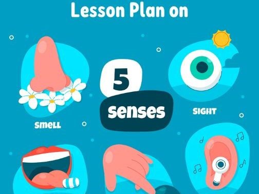 90' Lesson on The Five Senses | Teaching Resources
