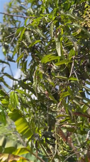 #💔🥺🛺🛺🤍 #bbbbbbbb #bbbbbbbbbbbbbbbbb bbbbbbbbbbbb