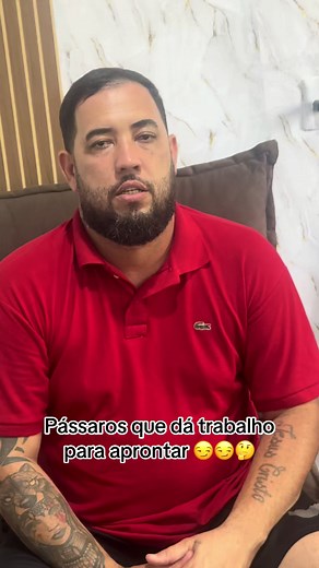 Pássaros que dão trabalho para aprontar no TikTok