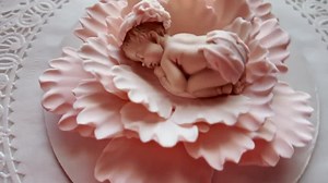 Boho Baby Shower Cake Topper Girl Blush Pink Peony Baby on Flower Edible Fondant Peach Feather Boho Chic Bohemian Baby Shower Cake Toppers - Etsy