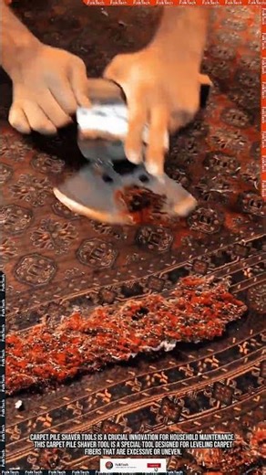 Carpet Pile Shaver Tool: Leveling Carpet Fibers Neat Clean Fast #tool #tools #innovation