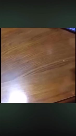 Original Vines on Instagram: "Scared me like crazy the first time I watched this… #meme #vine #funny #nostalgia #trending #reels #memes #memesdaily #comedy #viral #memesdaily"