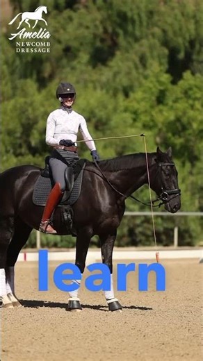 Your Horse Won't Stay Round!