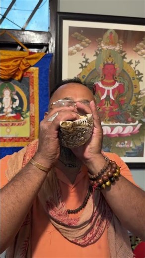 How to blow a large conch shell #experiment