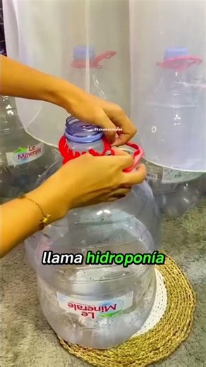 Cultiva Sin Tierra: El Metodo de Hidroponia para Producir Más en Menos Espacio