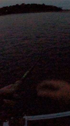 Missed a GIANT! 🥲 #musky #fishing | Ben Stone