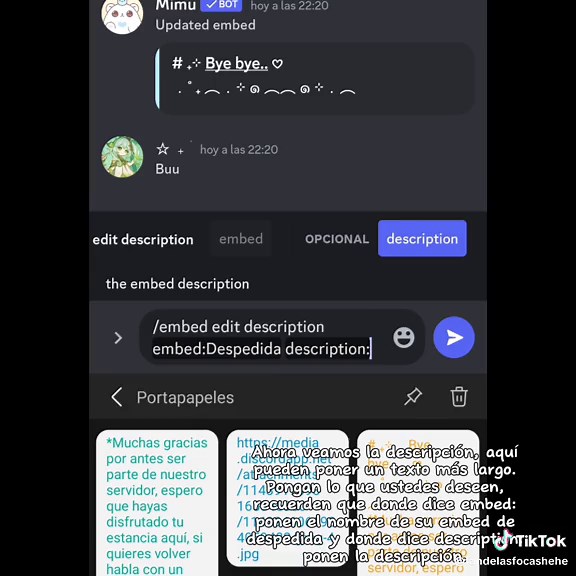 Focas y belugas>>>>>>> on TikTok