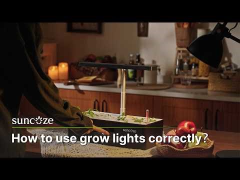 How to Use Grow Lights Correctly 🌱 Avoid These Mistakes#growlights #hydroponics #suncoze #plantcare
