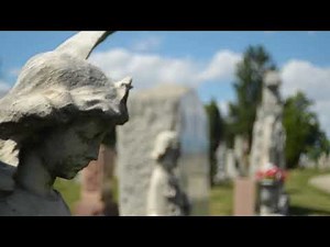 Tour of Mount Carmel Cemetery Hillside Il.