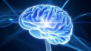 3D Visualization of a Human Brain | Premium Stock Video Footage