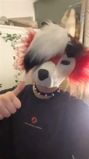 Batman room tour #alterbeing #alterhuman #nonhuman #otherkin #therian #fictionkin #furry #lycanroc