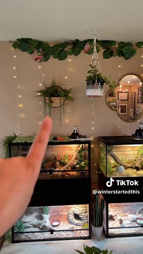 Understanding Plant Life in a Home Environment