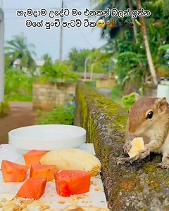 ❤️🌸 | Dream Hub