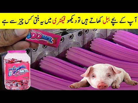 How Chewing Gum is Made | Bubble Gum Making In Factory