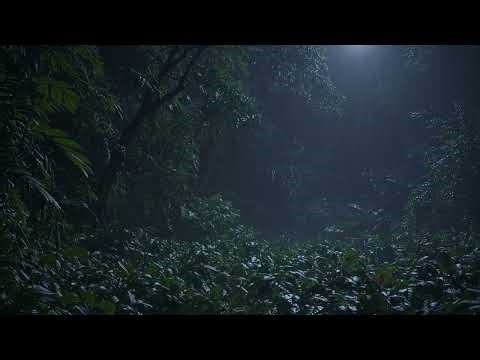 Jungle Night Ambience | 8 Hours of Rain & Nocturnal Animal Sounds for Deep Sleep