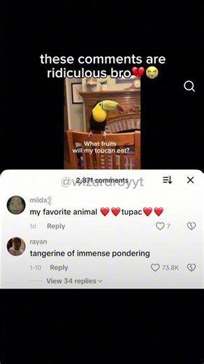THESE COMMENTS ARE RIDICULOUS BRO💔😭