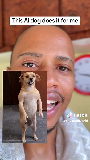 AI Dog Dancing: A Joyful Weekend Entertainment