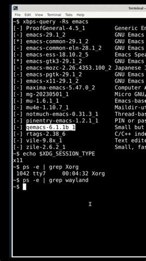 vile and zile -- Emacs Versions In Void Linux
