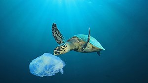 58K views · 692 reactions | This environment day, let's take a pledge to reduce our plastic use and keep our oceans and other water bodies plastic free. #BeatPlasticPollution #WorldEnvironmentDay #Unacademy | Unacademy | Facebook