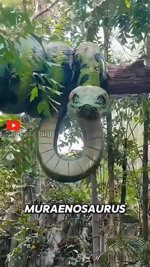 Ancient River Predators That Have Survived for Millions of Years! #animalfacts #lamprey #ancienteel