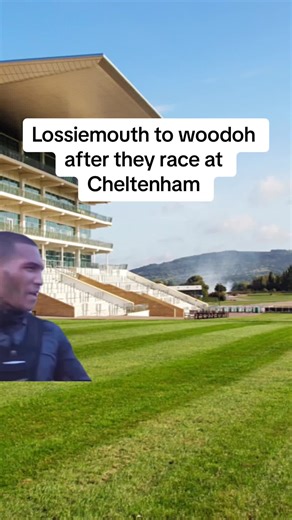 Expert Tips for Cheltenham Racing Success