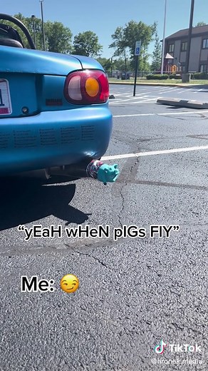 When Pigs Fly: Hilarious Muffler Sound Effect!