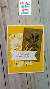 Another quick spring card! Please follow for more card ideas and share this with a friend. #owlstarstampers #stampinup #stampinupdemonstrator #stampinupdemo #EasyCards #papercrafting #papercrafts #cardmaker #cardmaking #embossing | Owl Star Stampers