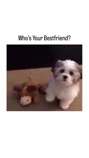 FunnyBits (@funny_b1ts)’s videos with original sound - FunnyBits