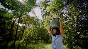 5 film directors capture the inspiring optimism of people working on urgent #climate change solutions