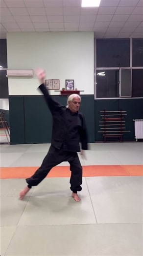 Shaolin Snake Style: Defense & Attack #kungfu #shaolinkungfu #martialarts #martialartstraining