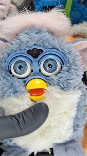 ​The 1998 Furby Experience! 👁️👄👁️