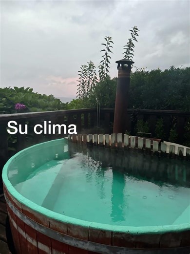 Qué visitar en el Sur de Chile? #lagoranco #surdechile #viajeros#viralshorts #videoshort