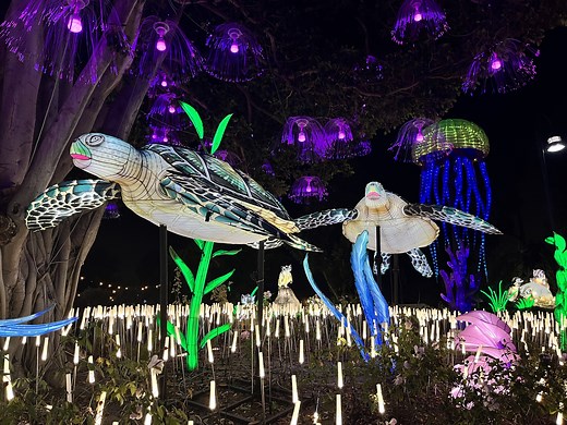 The most amazing events happening in L.A. this December