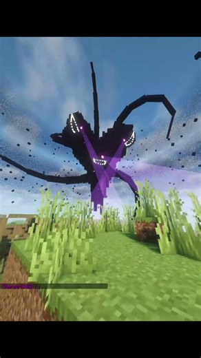 Java Wither is Easy? #minecraft #minecraftvideos #gaming #bestboss #minecraftanimation #fyp #phonk