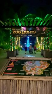 18K views · 183 reactions | ✨ Let it glow at Palm Beach ZooZoo...