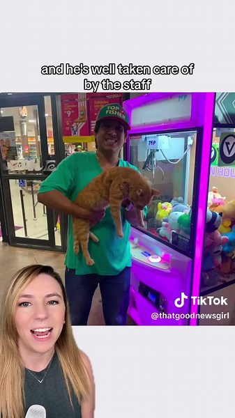 Man Wins Cutest Claw Machine Prize | Unexpected Cat Surprise!