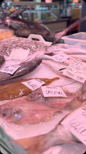 Peixos Mari on Reels