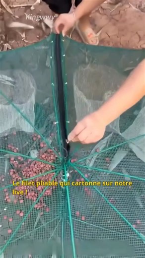 29K views · 10K reactions |  ¡LANZA LA TRAMPA Y DISFRUTA DEL PLAN!...