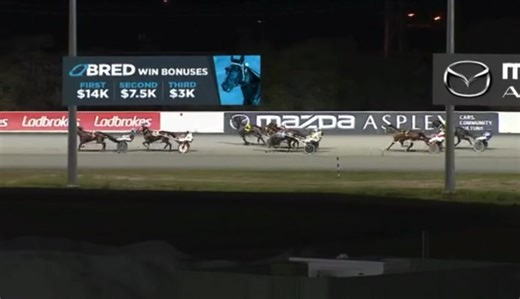 WATCH: Dead last, breaks into a gallop, and still wins! What a victory from MOONSHINE MILLY at Redcliffe last night! 🔥 #QLDisRacing | RaceQ