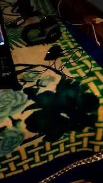 How to connect the Astro a20. To PC for firmware update