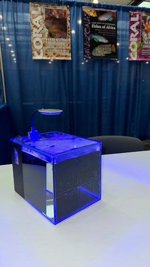 I got a new tank! This will be the new home for my barnacle blenny. @nematolab #picoreef #picoreeftank #aquarium #aio Thank you @pnwcustom ! | Melev's Reef, Inc.