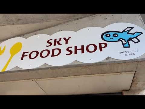 伊丹空港に有る伊丹スカイパークに行って来ました。