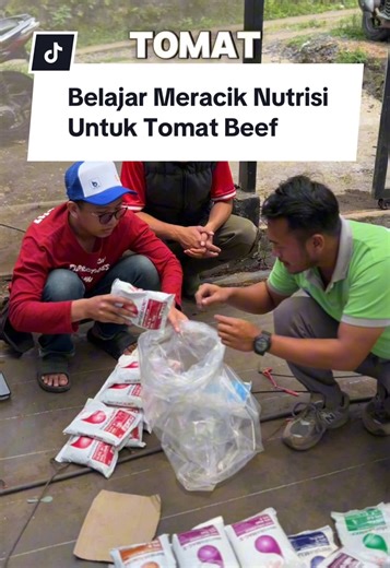 Panduan Nutrisi Hidroponik untuk Pemula